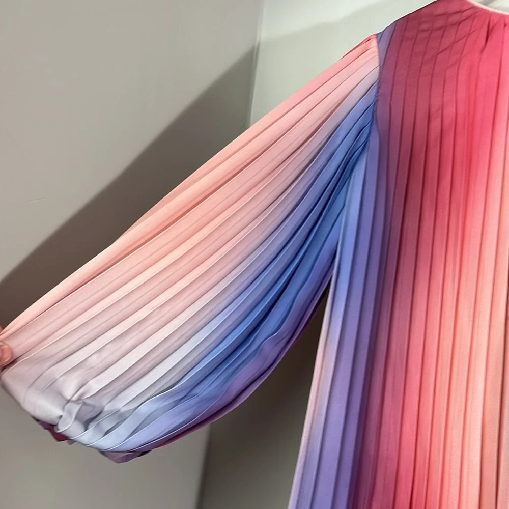Sonia Rykiel gradient chiffon pleated dress